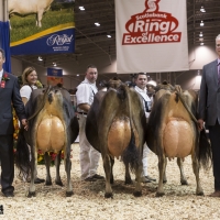 IMG_9692-2 IMG_9692-2