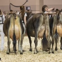 IMG_9519-2 IMG_9519-2