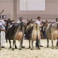 IMG_9654-2 IMG_9654-2