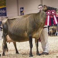 IMG_9658-2 IMG_9658-2