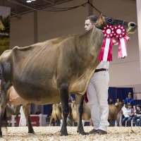 IMG_9659-2 IMG_9659-2