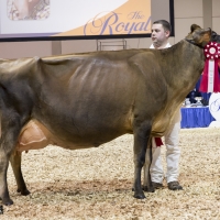 IMG_9661-2 IMG_9661-2