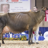 IMG_9662-2 IMG_9662-2