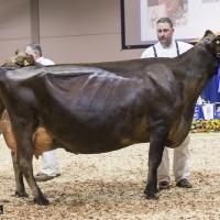 IMG_9664-2-2 IMG_9664-2-2