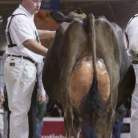 IMG_9664-2 IMG_9664-2