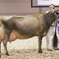 IMG_9667-2 IMG_9667-2