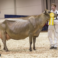 IMG_9668-2 IMG_9668-2