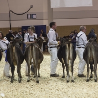 IMG_1427-2 IMG_1427-2