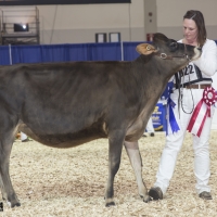 IMG_1431-2 IMG_1431-2