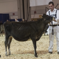 IMG_1434-2 IMG_1434-2