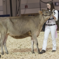 IMG_1436-2 IMG_1436-2