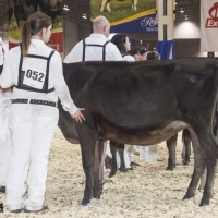 IMG_1439-2 IMG_1439-2