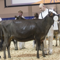 IMG_1444-2 IMG_1444-2