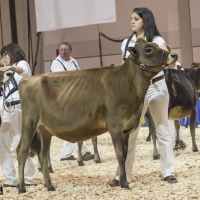 IMG_1445-2 IMG_1445-2