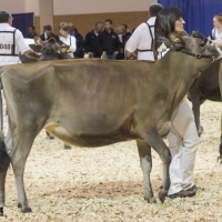 IMG_1446-2 IMG_1446-2