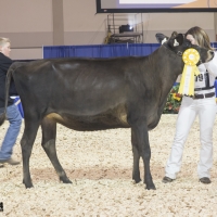 IMG_1458-2 IMG_1458-2