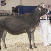 IMG_1459-2 IMG_1459-2