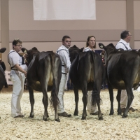 IMG_1464-2 IMG_1464-2