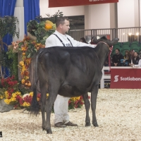 IMG_1466-2 IMG_1466-2