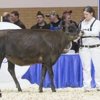 IMG_1470-2 IMG_1470-2