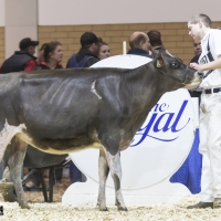 IMG_1474-2 IMG_1474-2