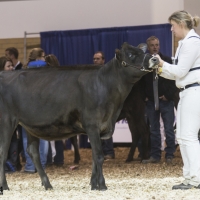 IMG_1476-2 IMG_1476-2