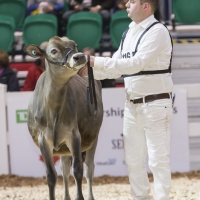 IMG_1477-2 IMG_1477-2