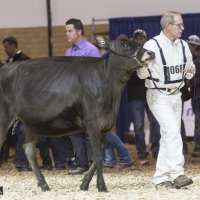 IMG_1479-2 IMG_1479-2