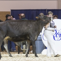 IMG_1481-2 IMG_1481-2