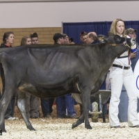 IMG_1484-2 IMG_1484-2