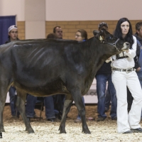 IMG_1485-2 IMG_1485-2