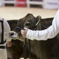 IMG_1486-2 IMG_1486-2