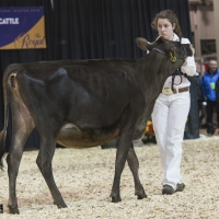 IMG_1488-2 IMG_1488-2