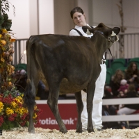 IMG_1490-2 IMG_1490-2