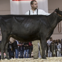 IMG_1494-2 IMG_1494-2