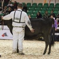 IMG_1495-2 IMG_1495-2