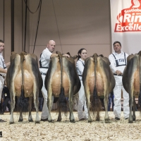 IMG_9461-2 IMG_9461-2