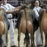 IMG_9464-2 IMG_9464-2