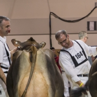 IMG_9481-2 IMG_9481-2