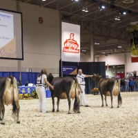 IMG_9539-2 IMG_9539-2