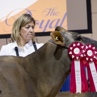 IMG_9596-2 IMG_9596-2