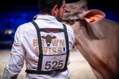 AR302668-2 AR302668-2