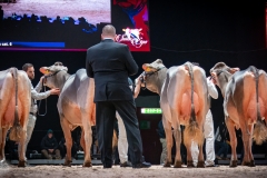 AR302669-2 AR302669-2