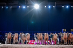 AR302687-2 AR302687-2