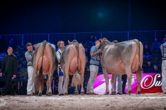 AR302691-2 AR302691-2