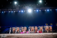 AR302695-2 AR302695-2