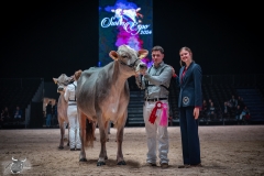 AR302705-2 AR302705-2