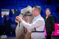 AR302511-2 AR302511-2