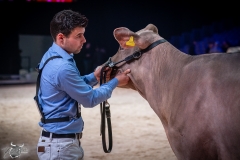 AR302513-2 AR302513-2