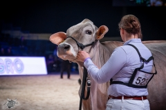 AR302527-2 AR302527-2